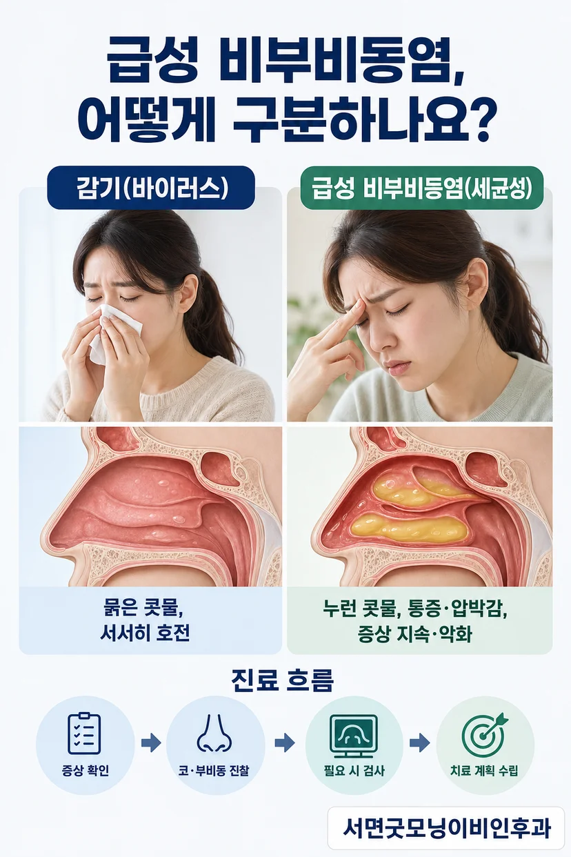 비강 내시경 검사 장면