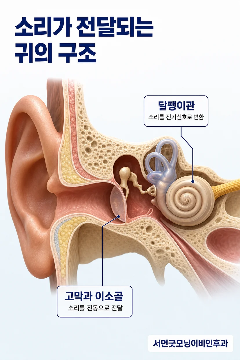 소아 중이염 진찰
