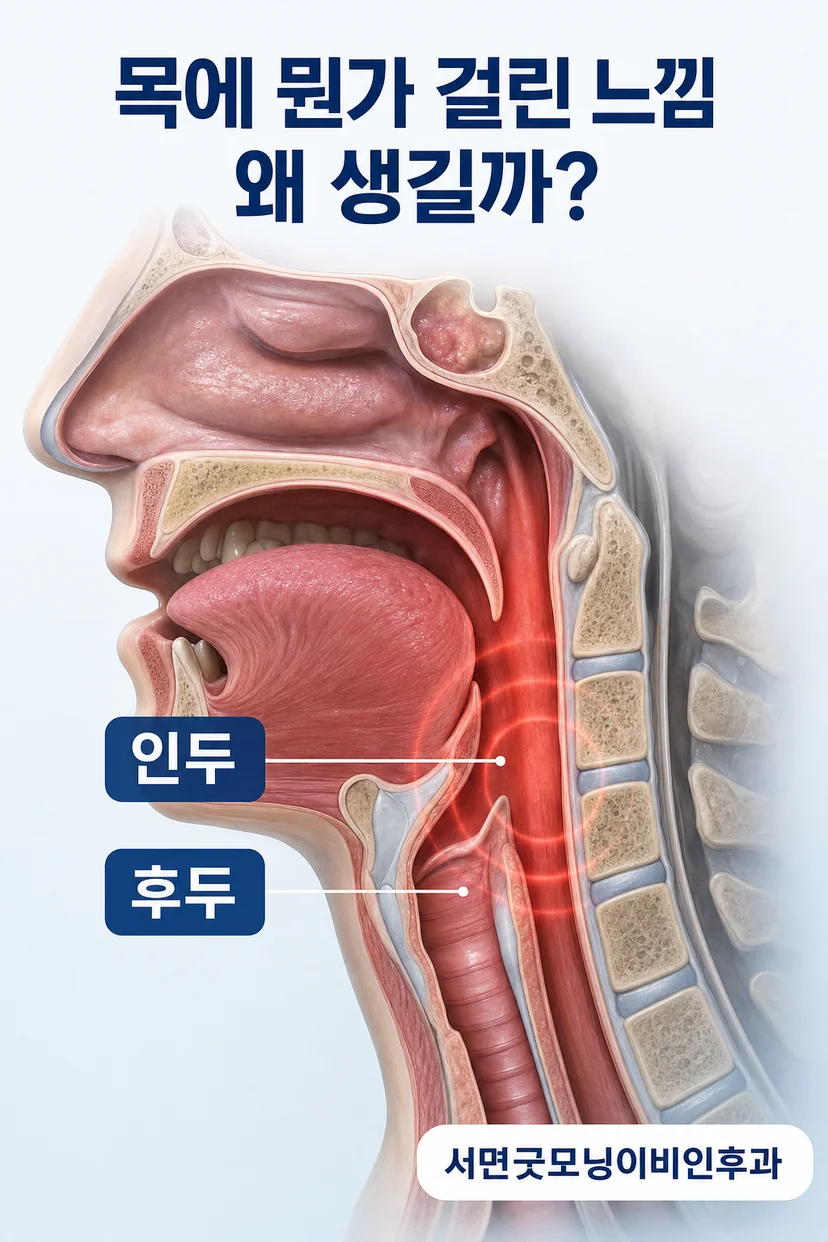 목 이물감과 동반 증상