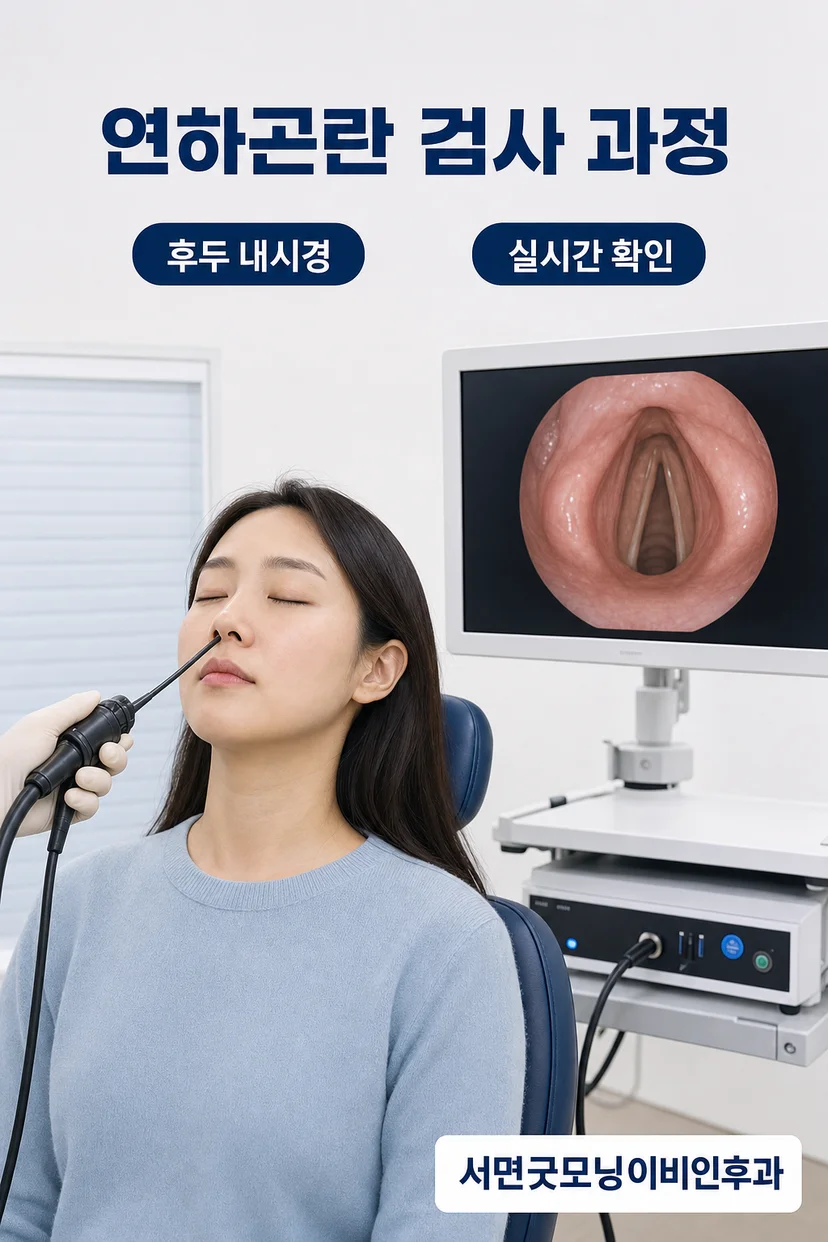 내시경 검사 모습