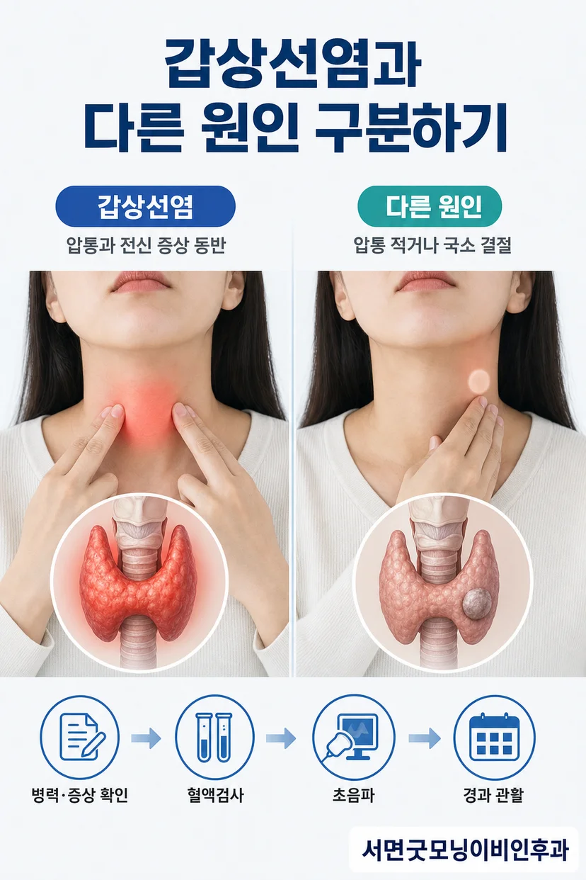 갑상선 초음파 검사 장면