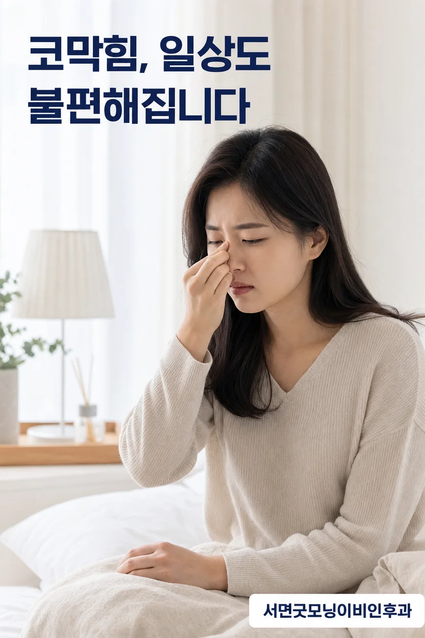 코막힘의 구조적 원인