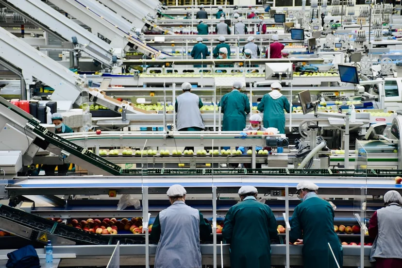 식육가공업 HACCP 인증 절차 가이드: 6단계 완벽 체크리스트 식육가공업 HACCP 인증 심사 시 주의사항 및 거절 사유