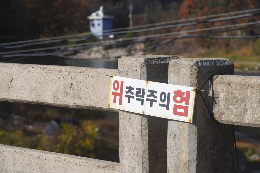 행정처분 받은 뒤 행정심판 청구하기, 기간을 놓치면 안 되는 이유 행정심판 청구 뒤의 절차