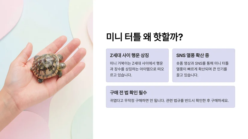 손톱만한 거북이가 부적이 되다…Z세대 사이에서 유행하는 '미니 터틀' 열풍과 법적 문제 미니 거북이 열풍, 어디서 시작됐을까