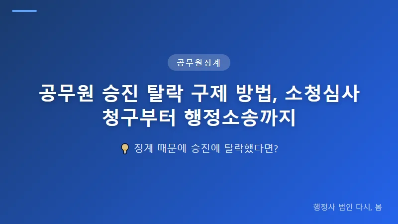 공무원 승진 탈락 구제 방법, 소청심사 청구부터 행정소송까지 소청심사 결과에 따른 다음 단계