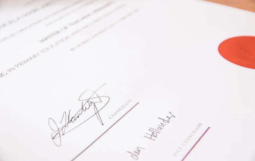 Penalties and Legal Consequences for Submitting False Documents in Visa Applications Possibility of Self-Reporting After Submitting False Documents