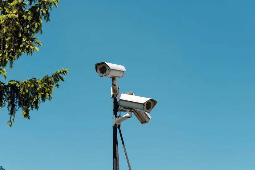 동물병원·펫샵·장례업 CCTV 설치 의무, 동물보호법 개설 허가 전 확인사항 결론: 행정사 법인 다시, 봄과 함께 준비하세요