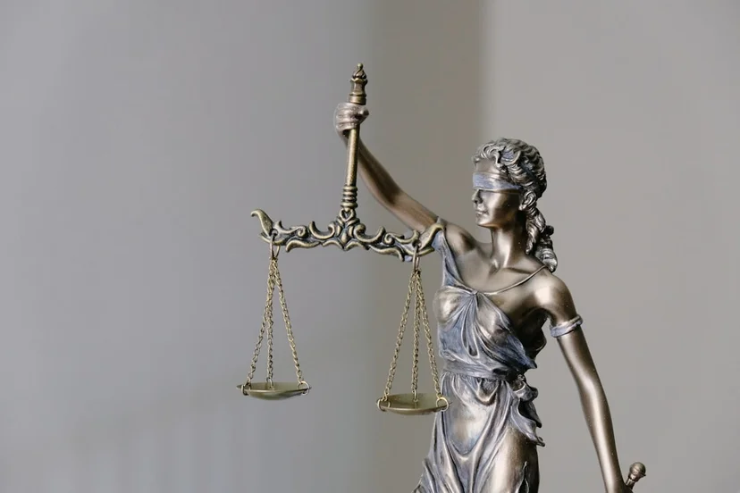 학교폭력 행정심판 인정받은 사례와 조치 불복이 대입에 미치는 영향 행정사 법인 다시, 봄과 함께하는 학교폭력 행정심판