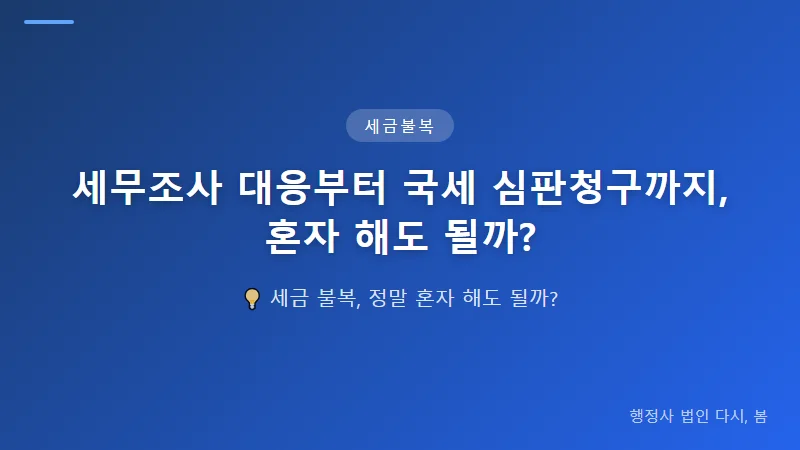 세무조사 대응부터 국세 심판청구까지, 혼자 해도 될까? 세금 이의신청과 국세 심판청구, 혼자 진행 가능한가
