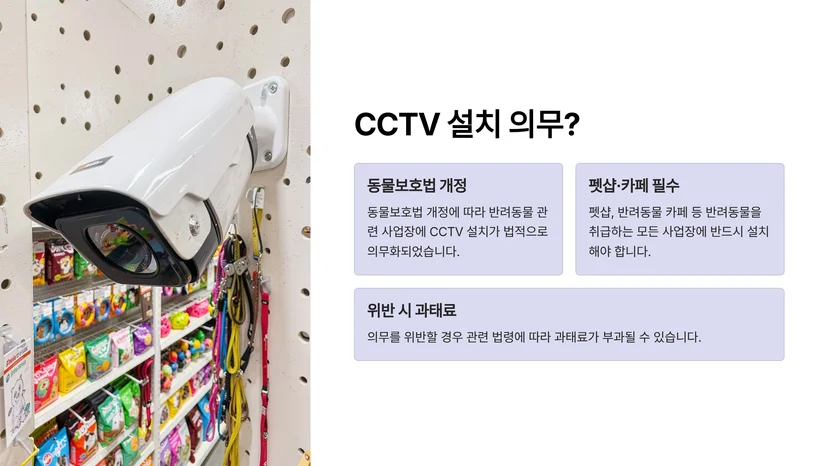 동물병원·펫샵·장례업 CCTV 설치 의무, 동물보호법 개설 허가 전 확인사항 동물병원 개설 허가와 CCTV 설치 의무