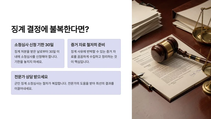 군인 징계 소청심사 신청 방법과 강등 구제 절차 군인 징계 소청심사란 무엇인가