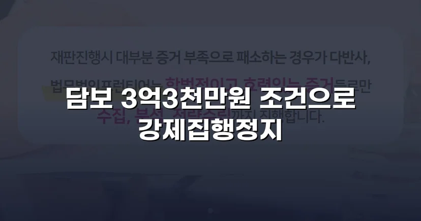 가집행 강제집행 위기, 담보 조건부 정지 결정으로 역전