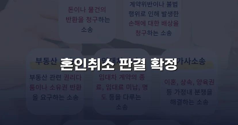 혼인 당시 속임수를 입증해 취소 판결을 이끌어낸 사건