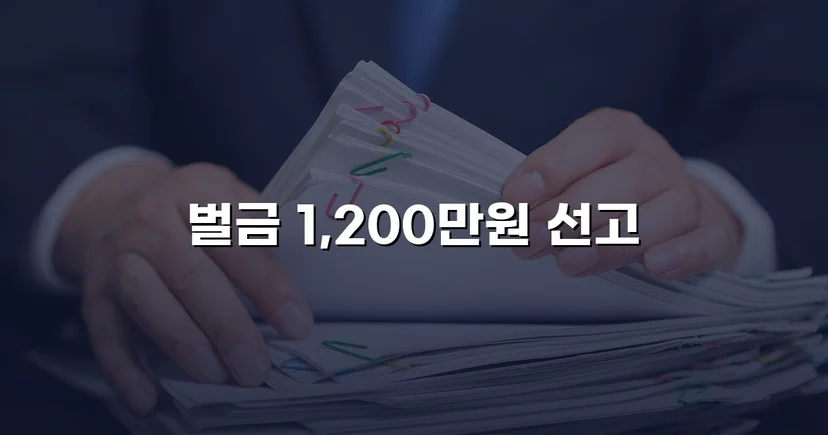 음주운전 재범에 실형 위기, 벌금형으로 마무리된 사건