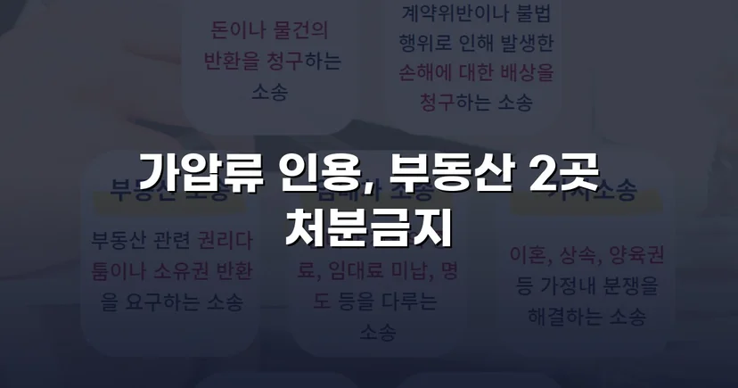 이혼 재산분할, 가압류 인용으로 채무자 처분 막아낸 사건