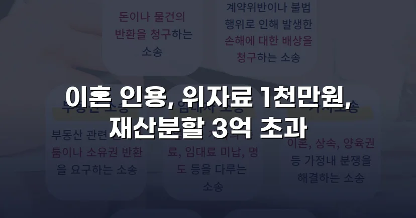 폭력 남편의 반소까지 기각, 재산분할 3억 원 이상 인정받다