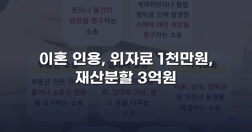 폭력 남편의 반소까지 기각, 재산분할 3억 원 이상 인정받다