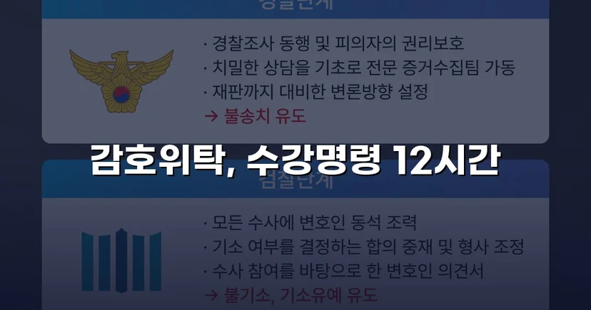 디지털 성범죄 소년사건, 소년원 대신 감호위탁으로 이끌어낸 결과