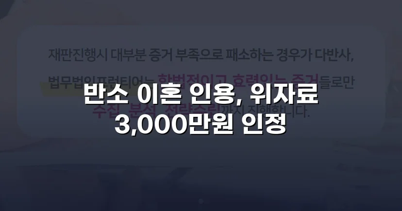 위자료 3,000만 원 전액 인정, 양육권까지 확보한 이혼 소송