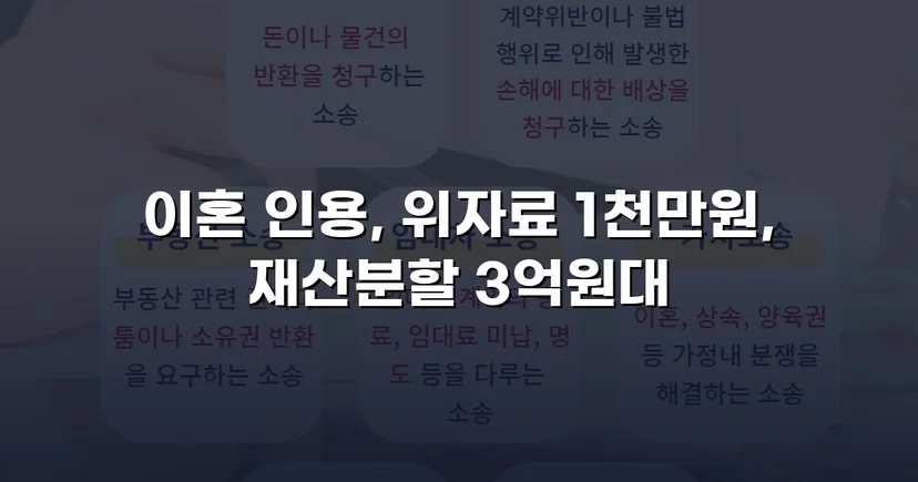 폭력 남편의 반소까지 기각, 재산분할 3억 원 이상 인정받다