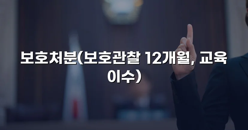 무면허·사기·절도 혐의 소년, 형사처벌 없이 보호처분으로 마무리