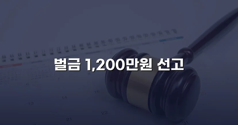 음주운전 재범에 실형 위기, 벌금형으로 마무리된 사건