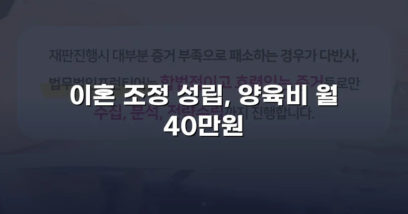 장기 분쟁 우려를 조정으로 완전히 끊어낸 이혼 사건