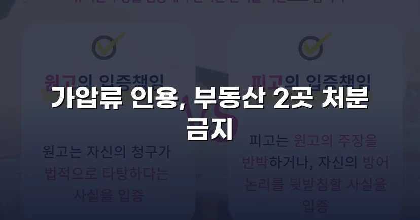 이혼 재산분할, 가압류 인용으로 채무자 처분 막아낸 사건