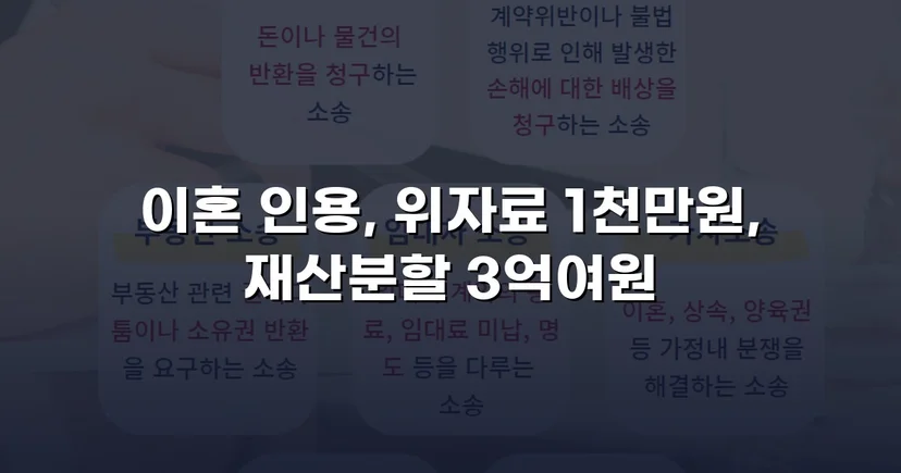 폭력 남편의 반소까지 기각, 재산분할 3억 원 이상 인정받다