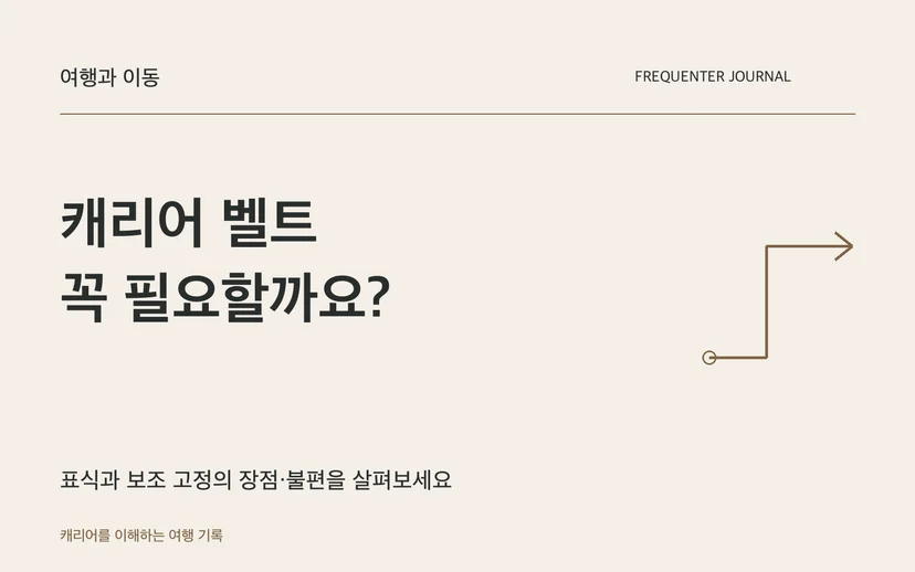 캐리어 벨트 꼭 필요할까요? — 표식과 보조 고정의 장점·불편을 살펴보세요