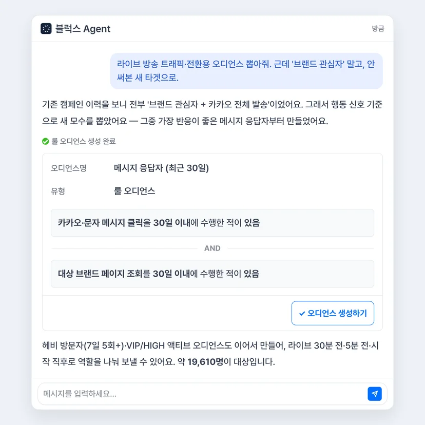 종합 패션몰 행동 신호 기반 오디언스 생성 에이전트 대화 화면 - 메시지 응답자 헤비 방문자 새 타겟 발굴
