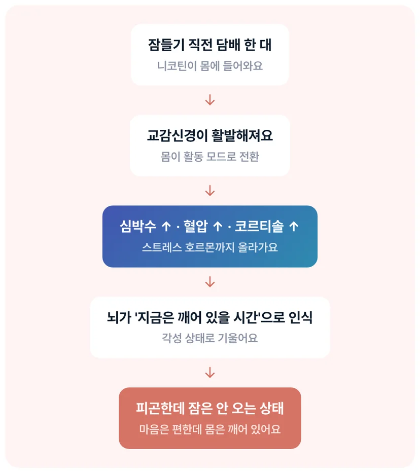 니코틴이 교감신경을 통해 심박수 혈압 코르티솔을 높여 뇌를 각성시키는 흡연 후 신체 반응 다이어그램