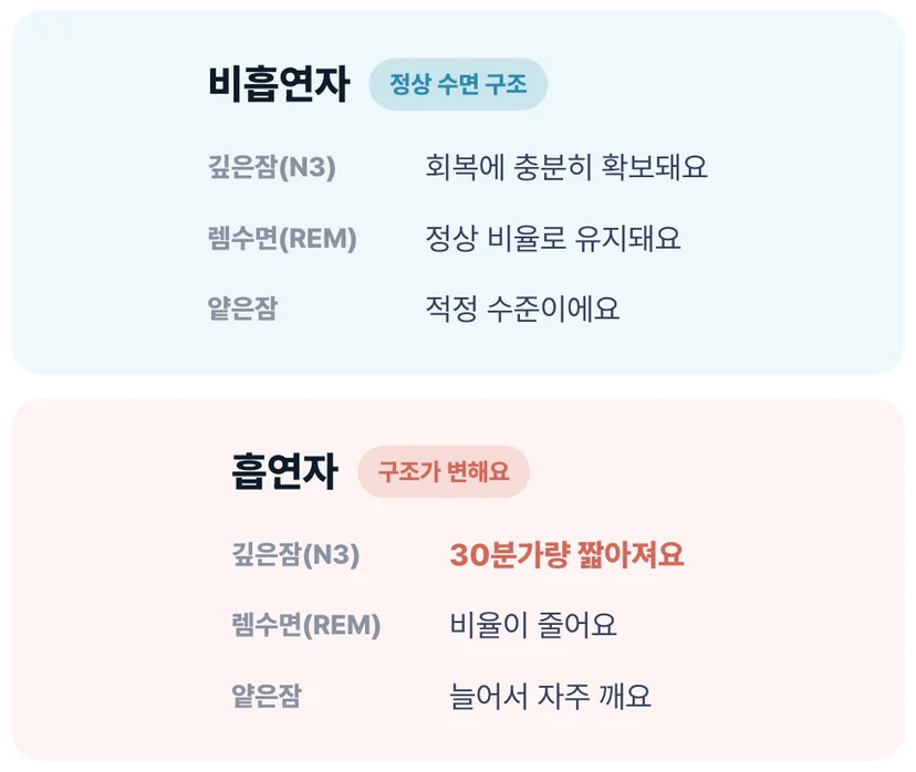 니코틴이 깊은 수면 N3과 REM을 줄이고 얕은 수면을 늘리는 흡연자 수면 구조 변화 비교 도식