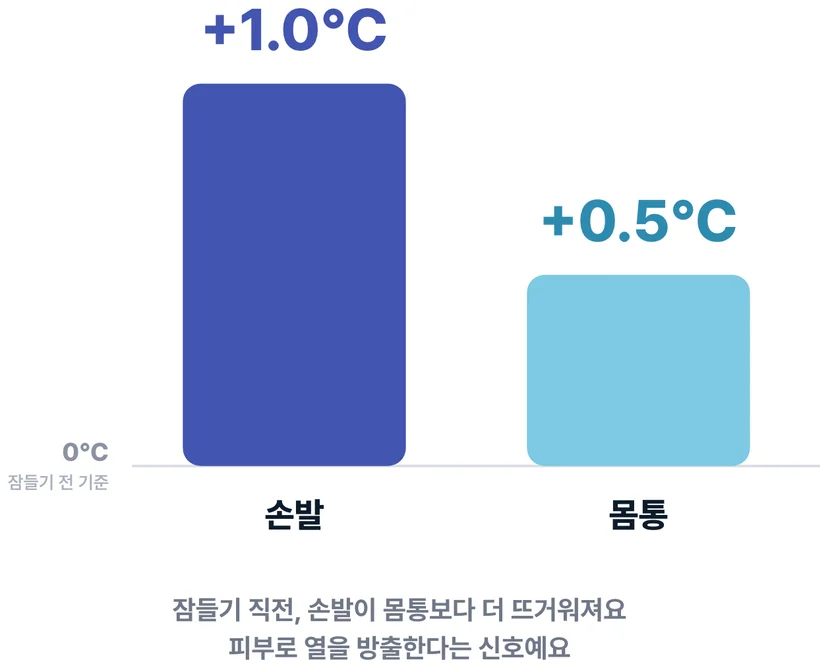 잠들기 직전 손발 피부온도 변화 그래프 수면생리학