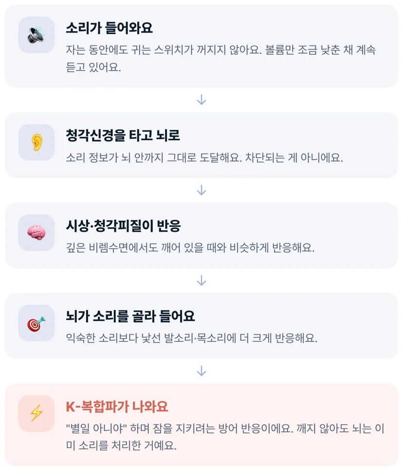 수면 중 소리 자극이 청각신경과 시상을 거쳐 K-복합파를 만드는 과정 도식