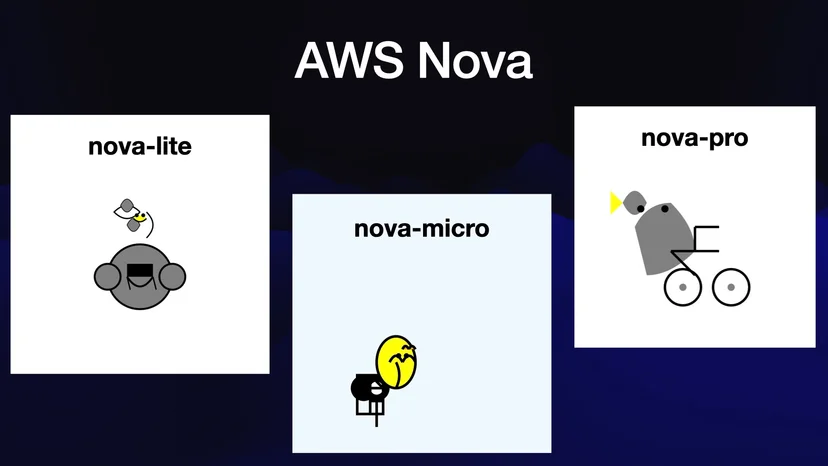 AWS Nova lite, micro, pro가 실제 생성한 자전거 탄 펠리컨 결과를 보여주는 Simon Willison의 발표 슬라이드