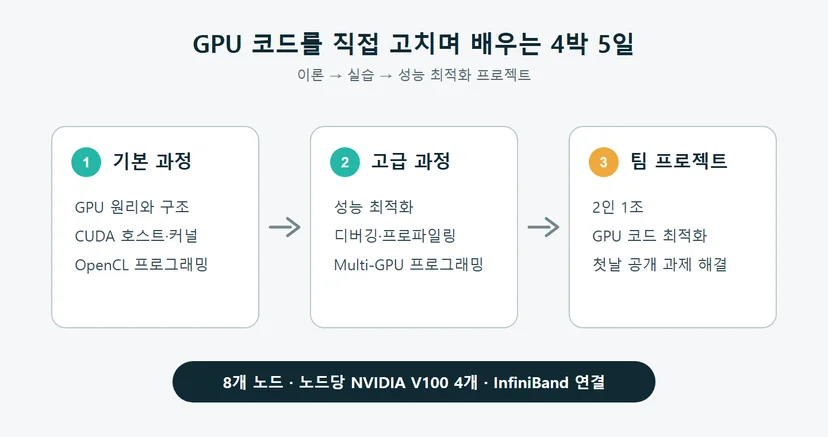 기본 과정의 CUDA와 OpenCL에서 고급 과정의 성능 최적화와 Multi-GPU를 거쳐 2인 1조 팀 프로젝트로 이어지는 교육 구성