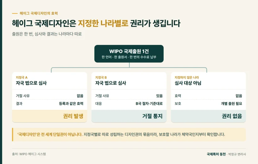 구조도: 헤이그 국제디자인은 지정한 나라별로 권리가 생깁니다