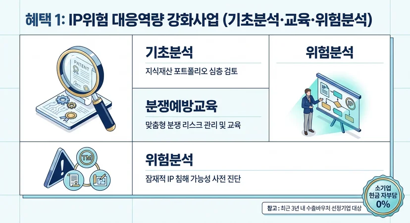 IP위험 대응역량 강화사업 지원 구성(기초분석·교육·위험분석) 인포그래픽