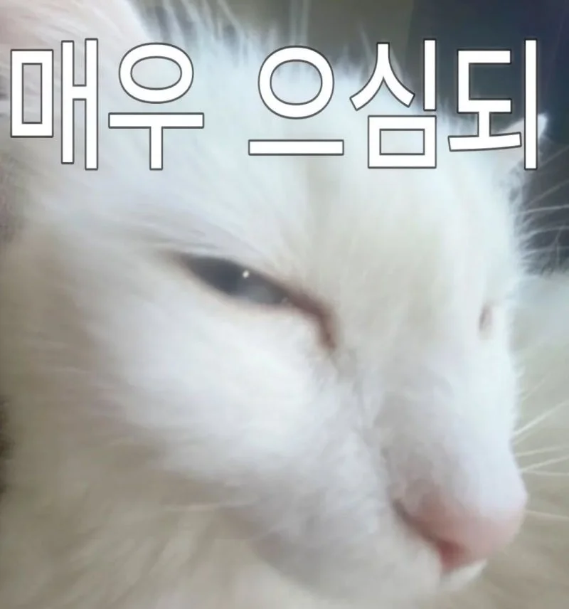 의심은 사주 글자가 아니라 관계의 상태에서 자란다