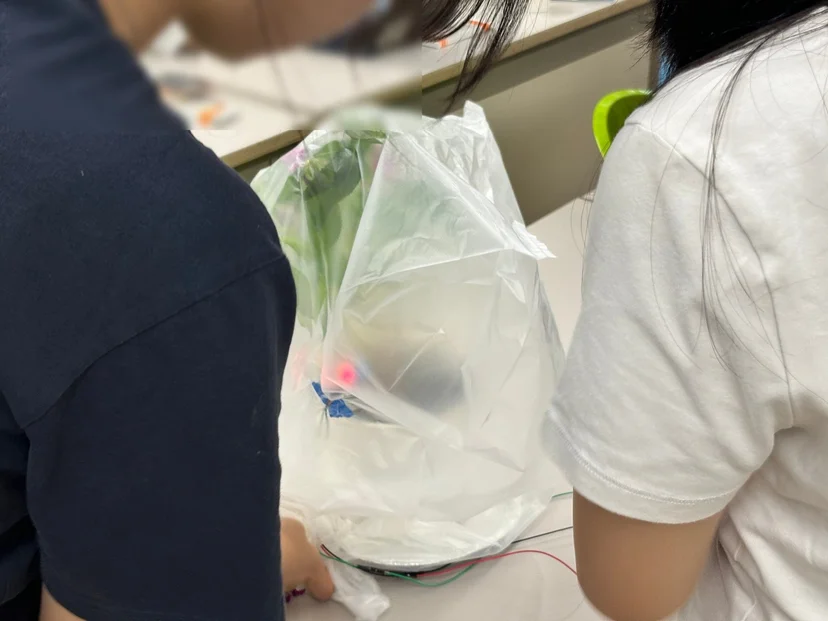 서귀포여자고등학교 MBL 과학실험 캠프 현장 사진 12