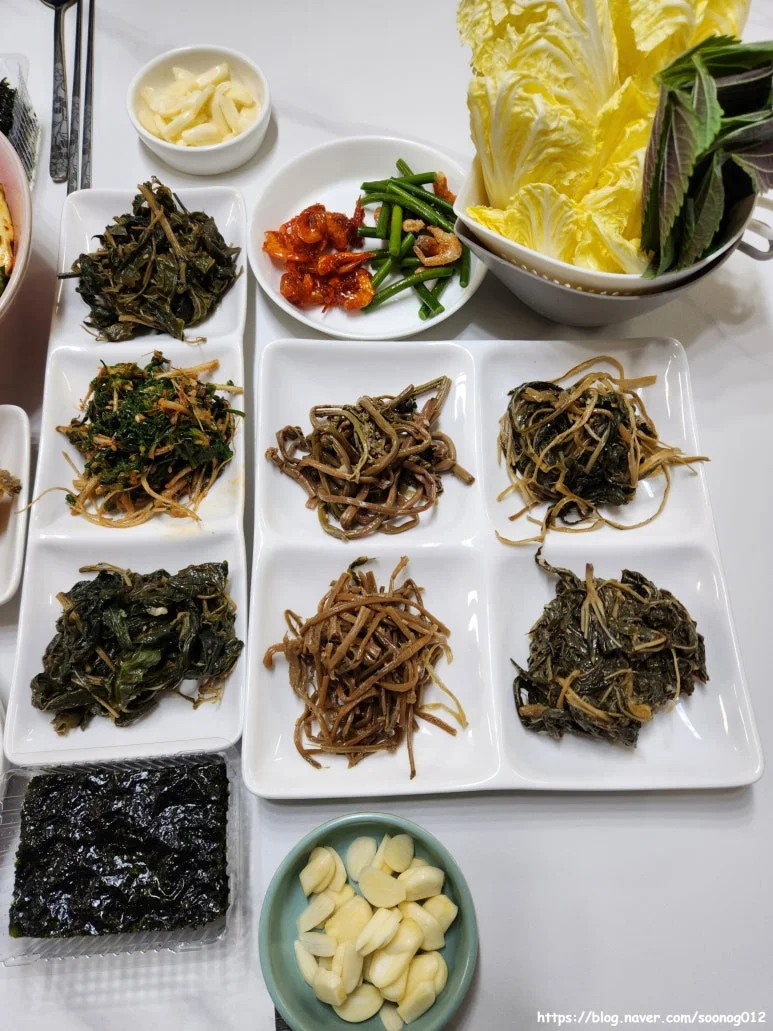 계약 및 서비스 보증 조건은 무엇을 체크해야 할까요 전기·배수·관리 설비 위치 확인 사진