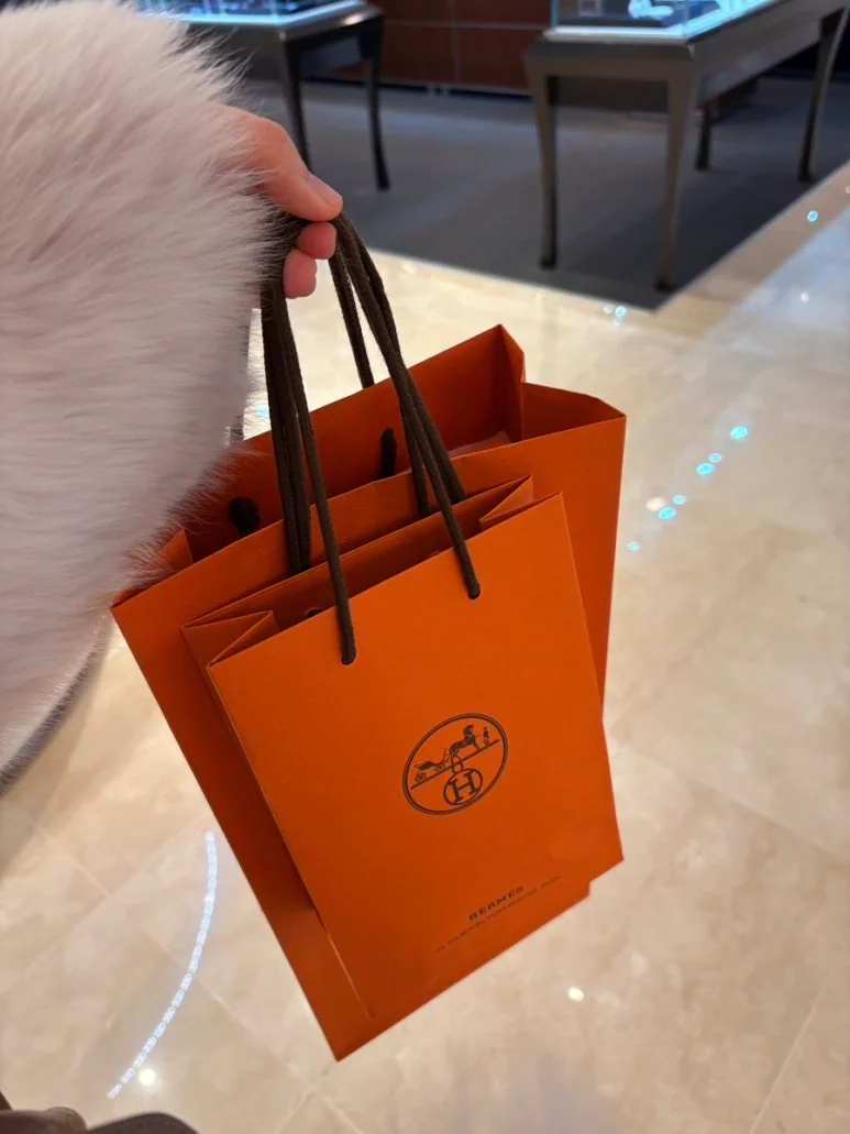 신품 구입과 중고 리퍼 오픈쇼케이스 중 어느 쪽이 경제적일까 전기·배수·관리 설비 위치 확인 사진