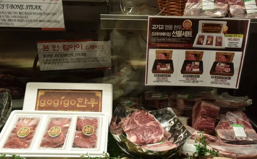 웻에이징과 드라이에이징 기능 차이가 견적에 미치는 영향은 무엇인가요 핵심 설치 조건과 사용 환경 확인 사진
