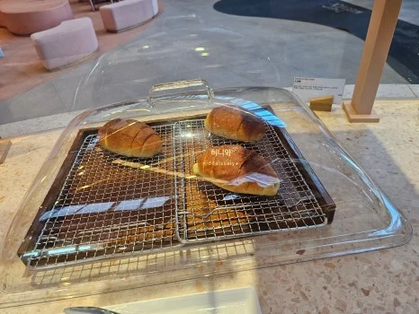 맞춤 제작과 특수 기능을 추가하면 비용은 어떻게 변하나요 전기·배수·관리 설비 위치 확인 사진