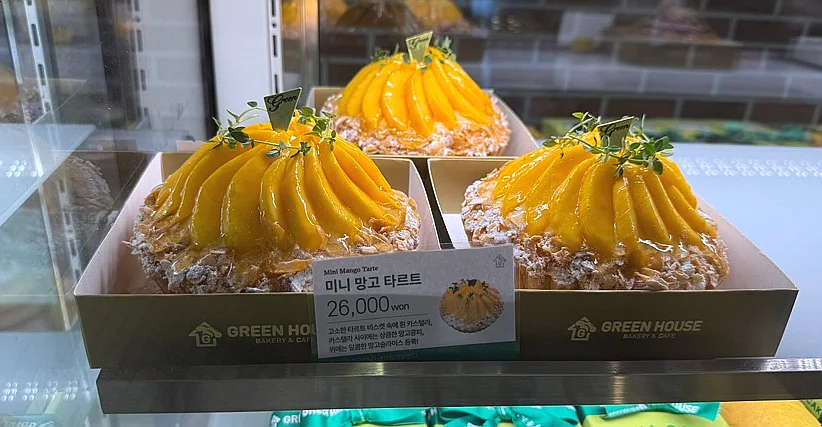 신선도 유지를 위한 냉각 방식과 사양 비교는 설치 공간과 주변 이동 동선 확인 사진