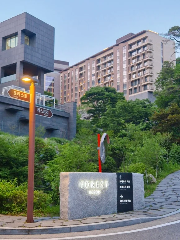 음료 수납량에 따른 적정 용량은 얼마가 적당할까요 핵심 설치 조건과 사용 환경 확인 사진