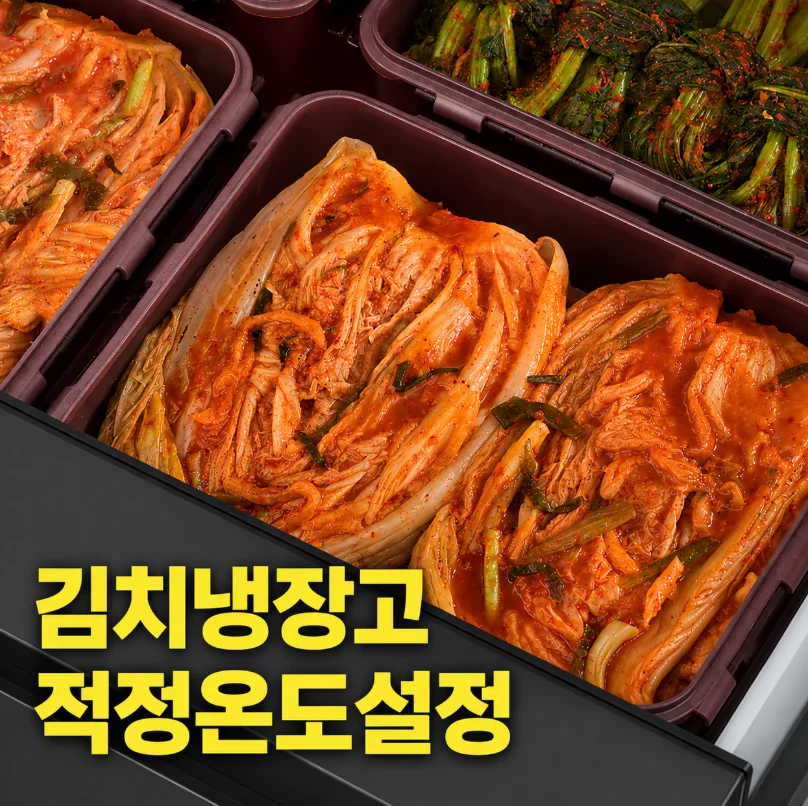 초기 구매 비용과 예산대별 구성은 전기·배수·관리 설비 위치 확인 사진