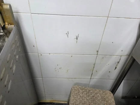 높은 예산의 맞춤형 부산업소용냉장고 주문 제작 시 확인 요소는 전기·배수·관리 설비 위치 확인 사진